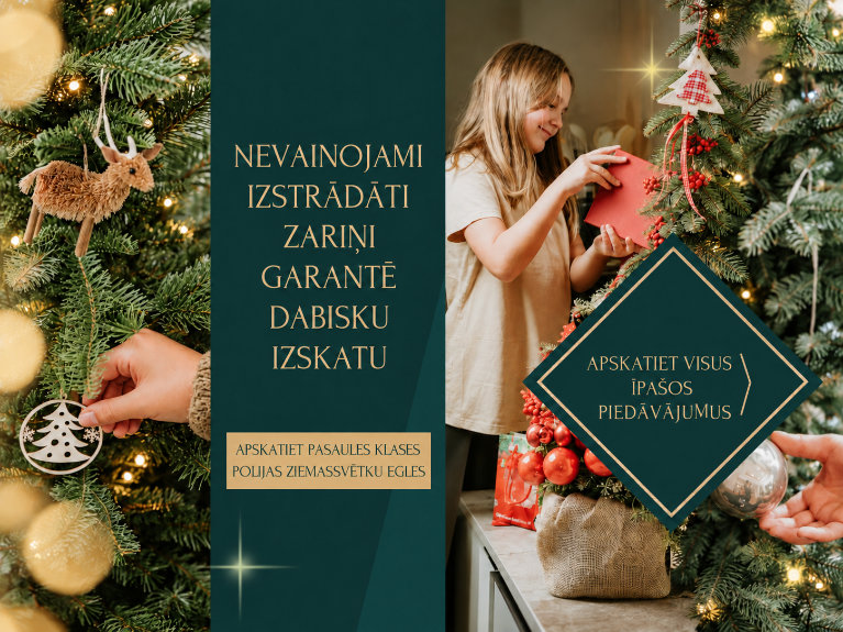 Nevainojami izstrādāti zariņi garantē dabisku izskatu Apskatiet pasaules klases Polijas Ziemassvētku egles Apskatiet visus īpa&scaron;os piedāvājumus