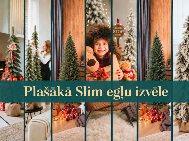 Pla&scaron;ākā Slim egļu izvēle