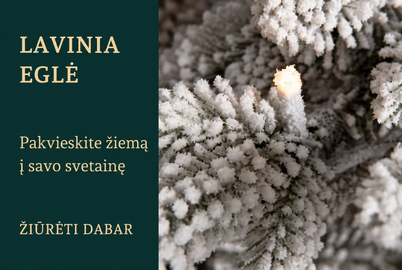 LAVINIA EGLĖ  Pakvieskite žiemą į savo svetainę  ŽIŪRĖTI DABAR