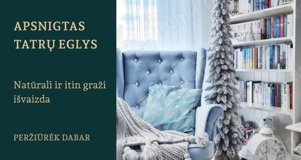 Świerk Tatrzański ośnieżony w sklepie e-choinki.pl