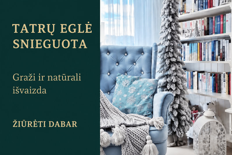 TATRŲ EGLĖ  SNIEGUOTA  Graži ir natūrali i&scaron;vaizda  ŽIŪRĖTI DABAR