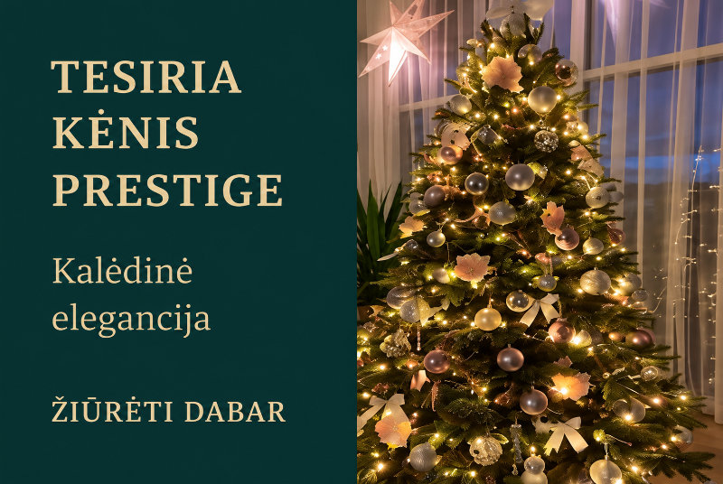 TESIRIA KĖNIS PRESTIGE  Kalėdinė elegancija  ŽIŪRĖTI DABAR