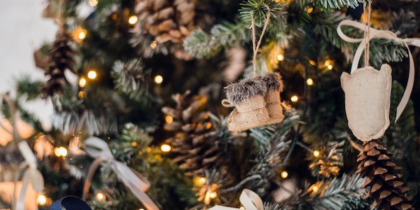 Kaimiškos Kalėdų eglutės – šventinis įkvėpimas ir patarimai