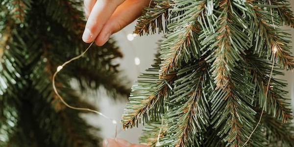 Kaip uždėti lemputes ant Kalėdų eglutės? Praktiniai patarimai.