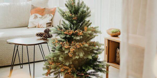 Kada po švenčių reikėtų nuimti Kalėdų eglutę? Konkrečios datos