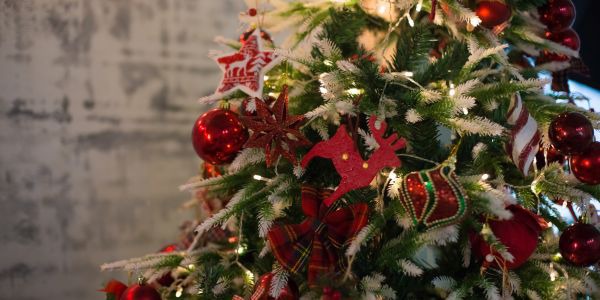 Kaip papuošti Kalėdų eglutę? 6 idėjos 2023 metams