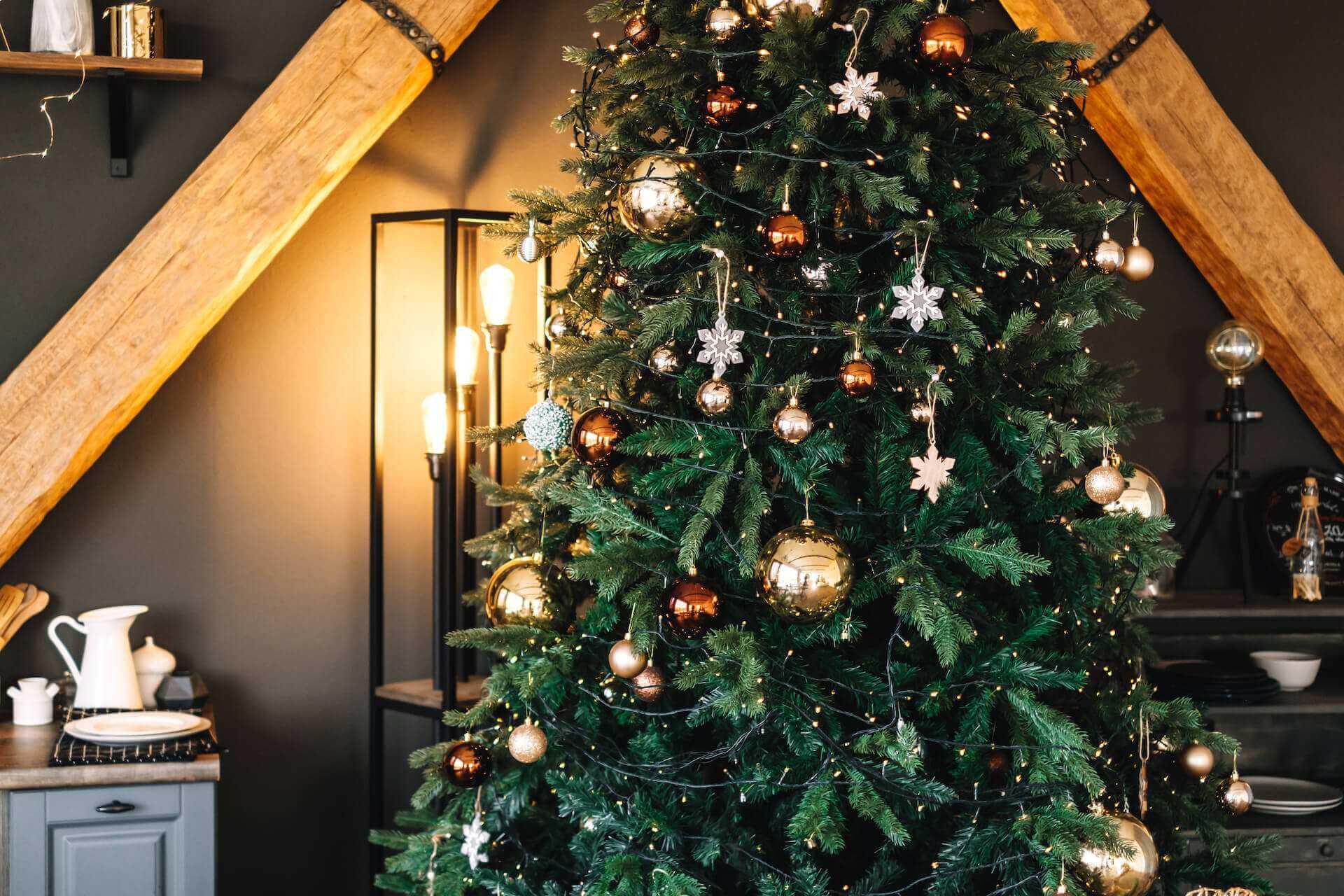 Kokią Kalėdų eglutę reikėtų rinktis Kalėdoms?