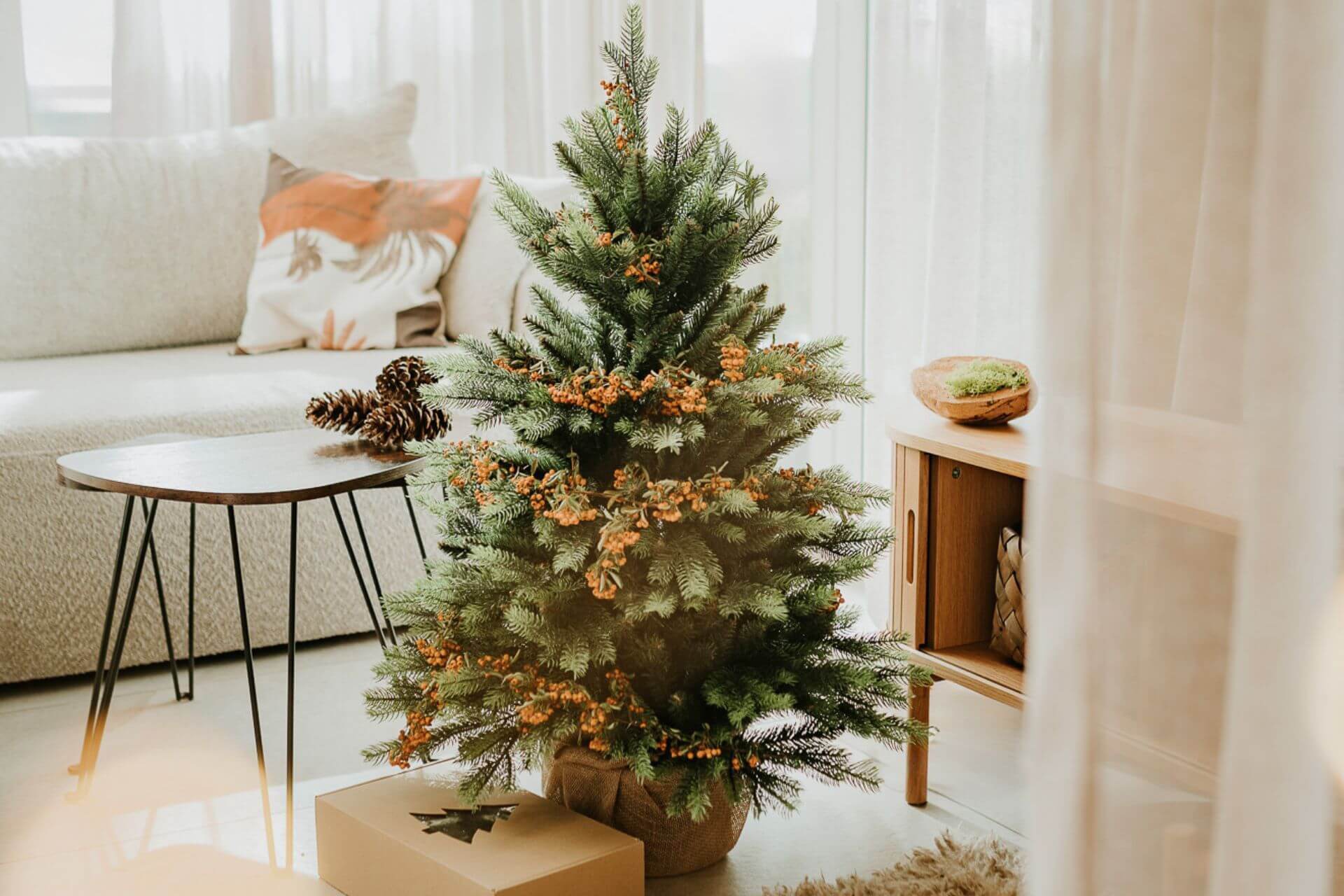 Kada po švenčių reikėtų nuimti Kalėdų eglutę? Konkrečios datos